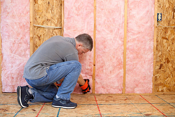 Best Geographic-Specific Insulation Services in Alcoa, TN