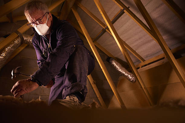 Types of Insulation We Offer in Alcoa, TN
