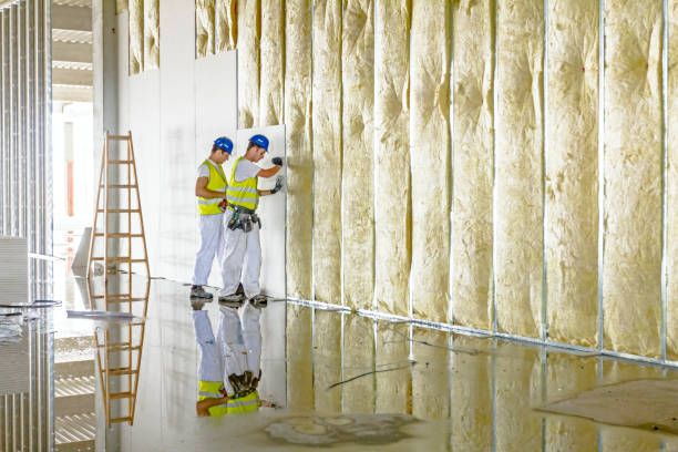 Best Insulation Maintenance and Repair in Alcoa, TN
